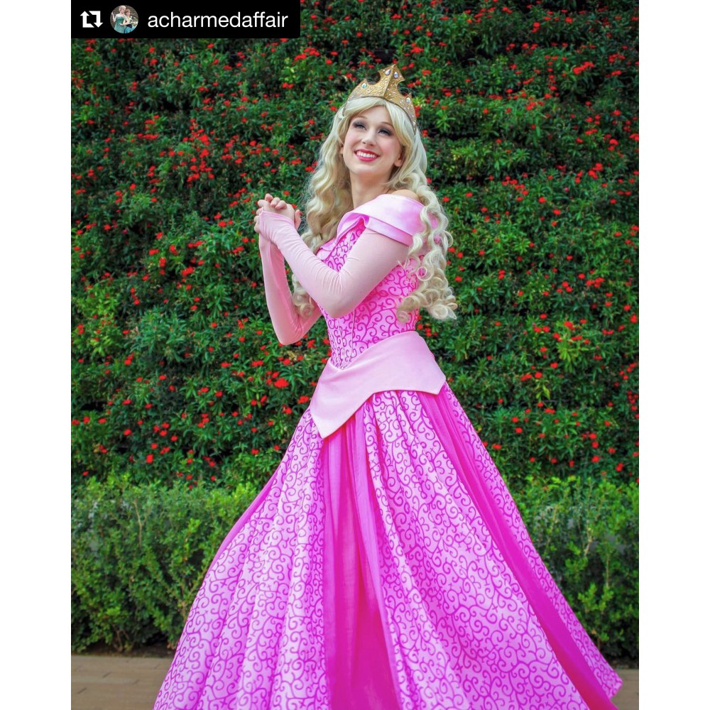 Sleeping beauty costume adult