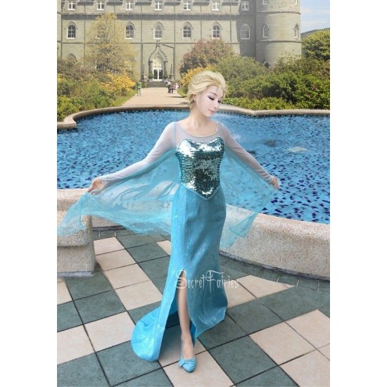 Elsa dress clearance up adult