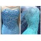 C888 Elsa Cosplay Costume  bodice no sleeves and zip back