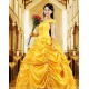 P133  beauty and beast princess belle Costume 