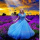 P143 Movies Cosplay Costume Cinderella 2015 Ella blue dress princess iridescent