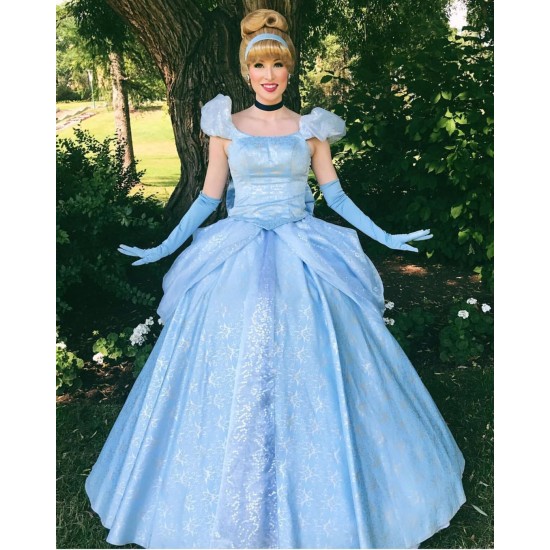 P259 Cinderella park version costume princess blue gown SILVER slipper ...