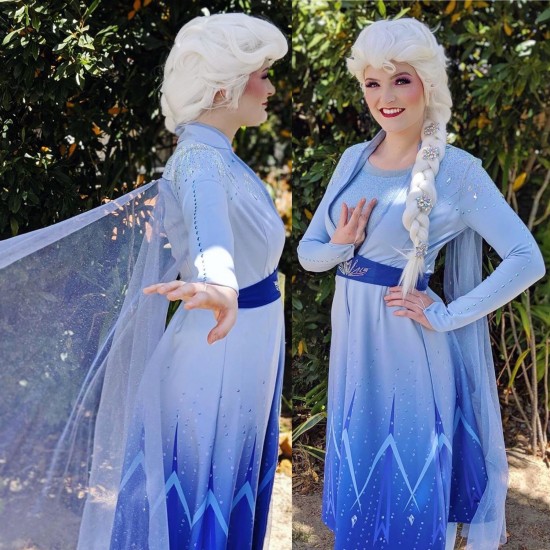 j886 Frozen 2 Elsa dress costume new rhinestone version