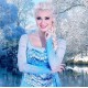 J888  women Elsa Cosplay Costumes