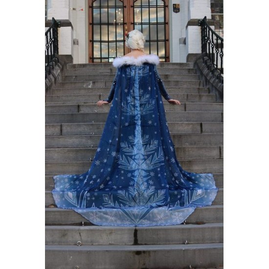 J998 OLAF'S FROZEN ADVENTURE Elsa dress