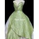 K438 TIANA DISNEY PRINCESS COSTUME DRESS GREEN GOWN 