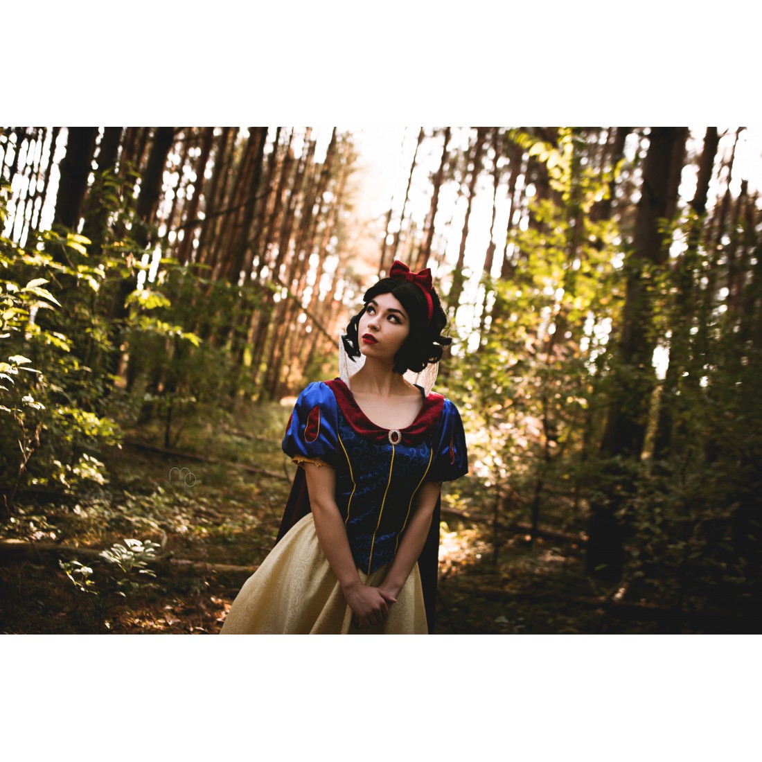 Snow White Gown  - UB07