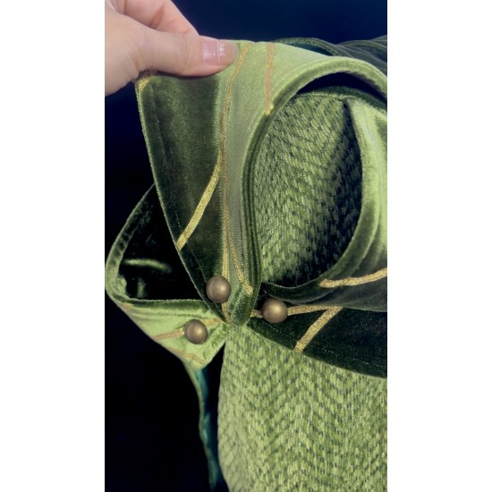 P150  prince naveen  frog and princess jacket and cape