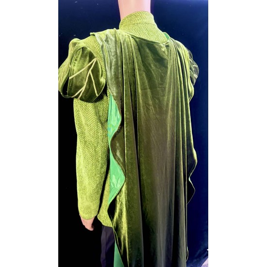 P150  prince naveen  frog and princess jacket and cape