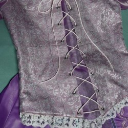 P255 Tangled Rapunzel Cosplay Costume women Princess dress cosplay