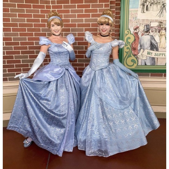 P259 Cinderella dress park version (new fabric)