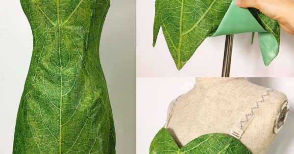 P156C Tinkerbell leaf print dress green rhinestones cosplay adult women  fairy