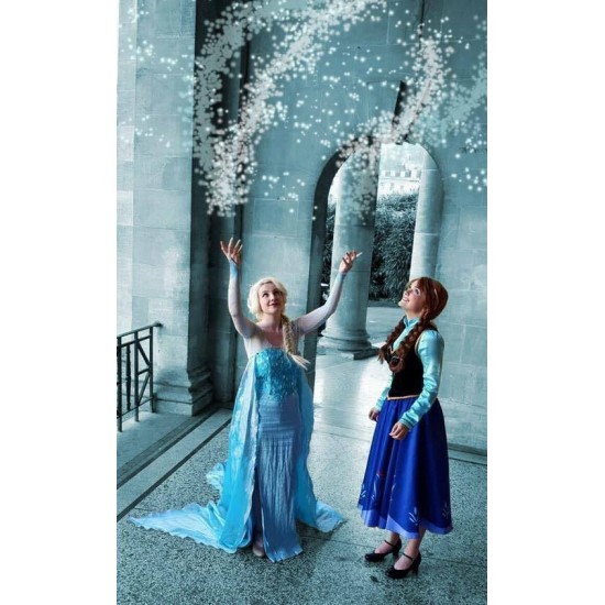 J711 Movies Frozen Snow Queen Elsa Cosplay Costume Dress Custom Tailor Handmade